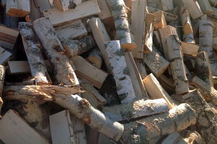 Забайкальский депутат предложил заменить валежником недоступные для жителей дрова