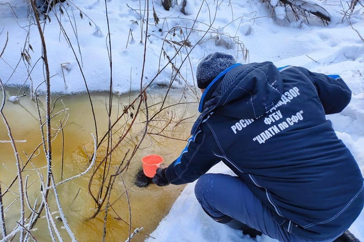 Загрязнение реки бытовыми стоками выявлено в Новосибирске