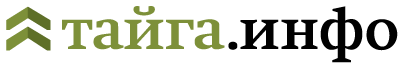 Тайга.инфо