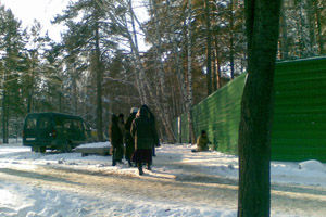 Жители Академгородка протестуют против вырубки леса Новосибирским госуниверситетом