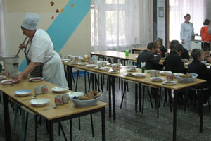 Новосибирские депутаты хотят увеличить порции в школьных столовых