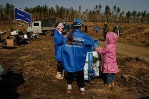 «Родники России» помогли высадить в Приангарье около 25000 сеянцев сосны обыкновенной