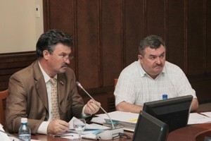 Новосибирские депутаты разобрались с митингами на дорогах и цветом такси