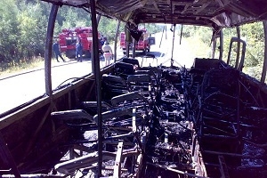Пассажирский автобус Kia Grandbird сгорел на трассе М-53 в Приангарье, пострадавших нет