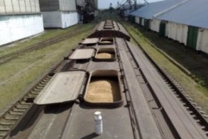 Введение льготного тарифа на перевозку зерна повлияло на рост цен в Сибири и на Урале
