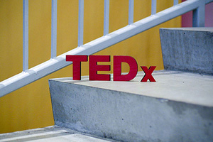 Более 10 спикеров войдут в экспертный состав новосибирской конференции TEDx