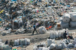Регионы Сибири в аутсайдерах по решению проблемы твердых бытовых отходов