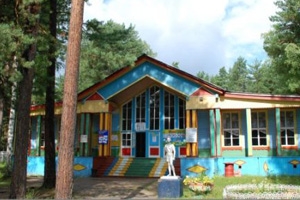 Суд приговорил к 15 годам педофила, напавшего на детей в лагере «Таёжный» в Красноярском крае