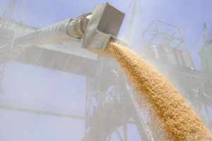 Цены на пшеницу и рожь в Сибири продолжают расти из-за экспорта зерна — НСЗ
