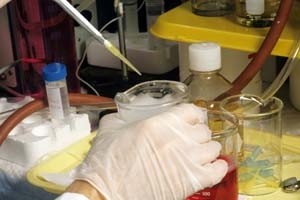 Новосибирский научный центр «Вектор» завершил первую фазу испытаний вакцины против ВИЧ
