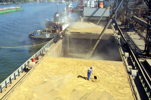 Цены на зерно в Сибири выросли после восстановления отгрузки из портов