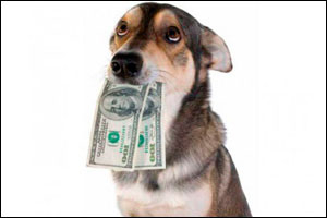 Таможенник на Алтае, лишенный премии за смерть собаки, вымогал деньги у подчиненных — СК РФ
