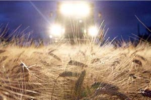 Льготный тариф на перевозки зерна из Сибири нужно ввести на пять лет — НСЗ