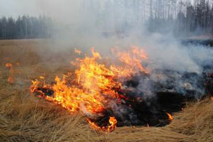 20 домов из 35 сгорели в забайкальском селе Баян-Булак из-за степного пожара