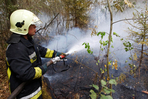 70 очагов лесных пожаров действуют в Сибири на общей площади свыше 18,6 тыс. га