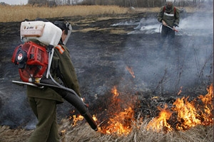 Более 8 000 га лесов горит на территории Сибирского федерального округа