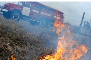 Начальник отделения охраны лесов в Красноярском крае за 5000 рублей обещал не сообщать о виновнике лесного пожара — СК РФ