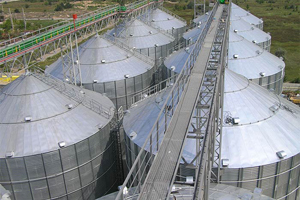 Строительство завода по переработке зерна стоимостью 5,2 млрд. рублей начнется в Новосибирске до конца года