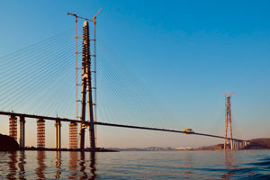 Аварийно севший в Чите «Боинг» вез сотрудников омского «Мостовика» строить мост на остров Русский