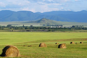 Сбербанк предложил Россельхозбанку и властям Алтайского края обсудить проблемных заемщиков в АПК
