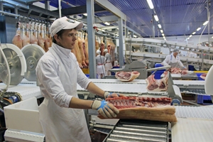 «Кудряшовский мясокомбинат» планирует увеличить до 90% свою долю на новосибирском рынке охлаждённого мяса