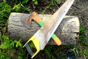 Труп, расчлененный циркулярной пилой, найден в частном доме в Абакане