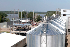 Агрохолдинг «Гудвилл» запустит на Алтае завод по производству овсяной крупы к концу 2012 года