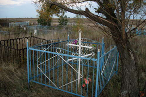 Дачник по неосторожности сжёг кладбище под Томском, жертв нет