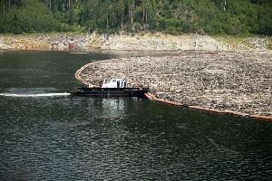 Саяно-Шушенское водохранилище освободится от 114 тыс. кубометров плавающей древесины