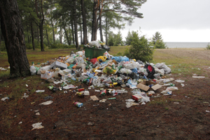 Более 400 добровольцев будут убирать мусор в рамках акции «360 минут ради Байкала»