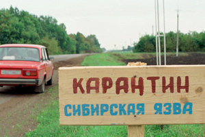 Уголовное дело по факту смерти жителя села Дружба от сибирской язвы возбуждено в Алтайском крае