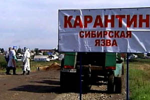 Правительство выделило Алтайскому краю дополнительную вакцину для профилактики сибирской язвы