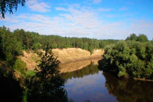 Условно осужденный вор забил палкой двух девочек на берегу реки Тара в Омской области