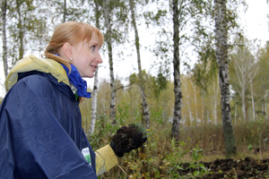 Добровольцы высадили в Новосибирске 1500 елок в ходе акции «Поможем природе вместе!» (фото и видео)