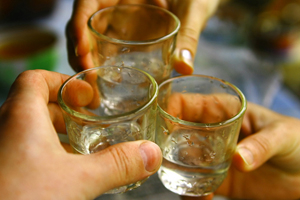 Новосибирские власти запретят продавать алкоголь в день празднования юбилея области