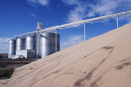 Интервенции не приведут к серьезному колебанию цен на зерно — НСЗ
