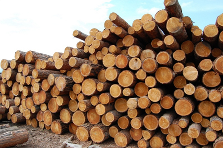 Экспорт леса из Сибири уменьшился до $1,87 млрд по итогам января-сентября 2012 года
