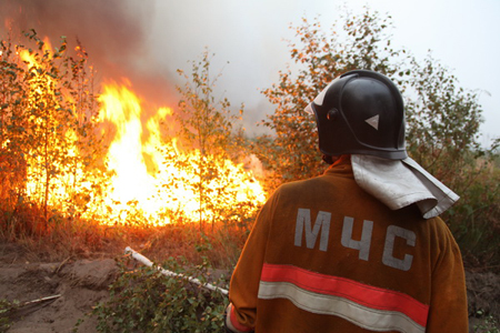 Около миллиона гектаров леса сгорело в Сибири за пожароопасный сезон — Рослесхоз