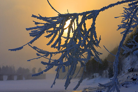 Морозы до минус 42 градусов ожидаются в Новосибирской области 