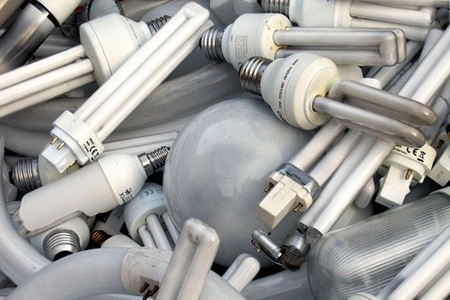 Новосибирцы стали сдавать на утилизацию больше энергосберегающих лампочек