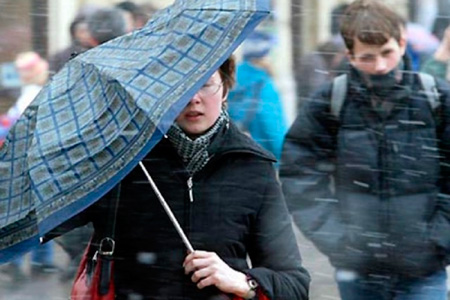 Экстренное предупреждение объявлено в Новосибирской области из-за сильного ветра