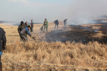 Более 10 тысяч гектаров леса горят в Забайкальском крае, в пяти районах введен режим ЧС