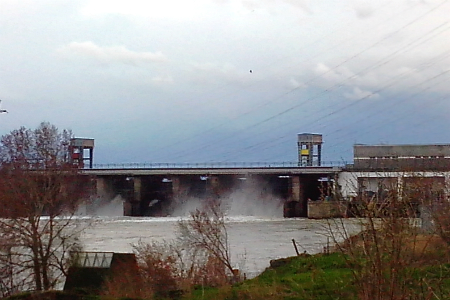 Снижение сбросов на Новосибирской ГЭС, повлекшее гибель окуневой икры, было согласовано с собственником водохранилища