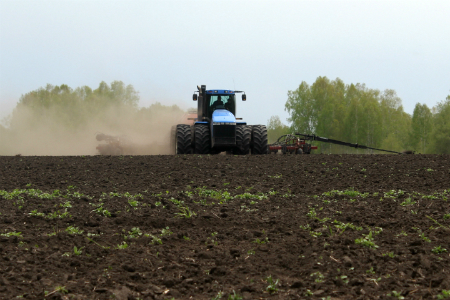 Новосибирская область успешно проводит посевную, несмотря на плохую погоду (фото)