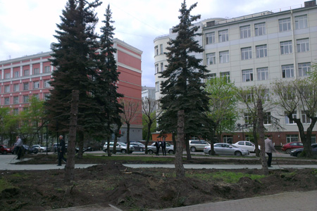 Сквер в Новосибирске, где вырубят ели, останется визитной карточкой города, уверены в РЖД (фото)