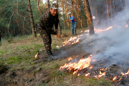 Более 240 бригад по борьбе с лесными пожарами сформированы в филиалах «Ростелеком-Сибирь»