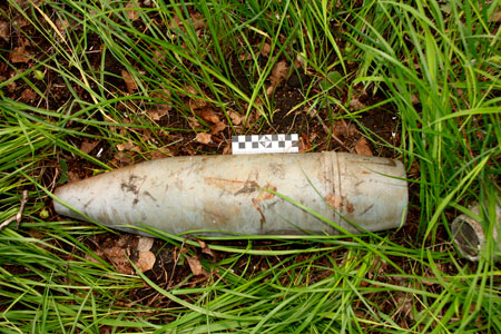Неизвестные прятали в лесу под Новосибирском более 100 кг взрывчатки