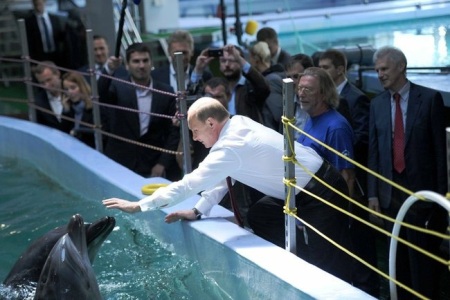 Компания из Санкт-Петербурга банкротит омский «Мостовик» из-за океанариума, где Путин кормил дельфинов