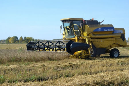 Более 2 млн тонн зерна собрано в Новосибирской области 