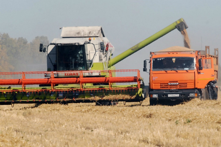 Новосибирская область собрала на 1 млн тонн больше зерна, чем в 2012 году